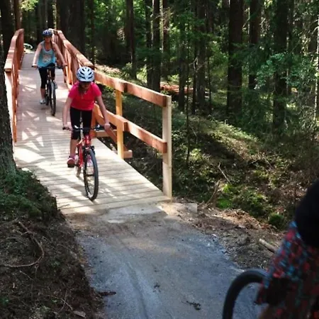 S Terasou A Výhledem Na Jezero Lipno Apartmán Kovarov (Cesky Krumlov)