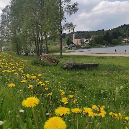S Terasou A Vyhledem Na Jezero Lipno Kovarov (Cesky Krumlov)