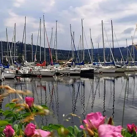 S Terasou A Vyhledem Na Jezero Lipno Daire *