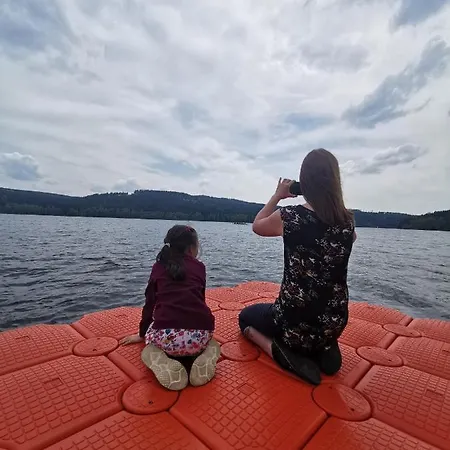 S Terasou A Vyhledem Na Jezero Lipno Daire Kovarov (Cesky Krumlov)