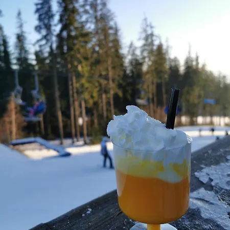 S Terasou A Vyhledem Na Jezero Lipno דירה