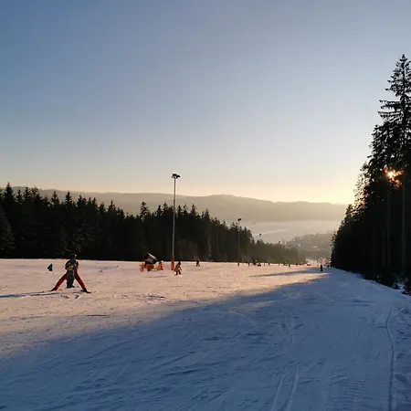 S Terasou A Výhledem Na Jezero Lipno Kovarov (Cesky Krumlov)