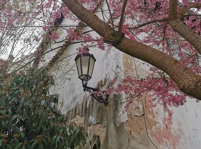 דירה S Terasou A Vyhledem Na Jezero Lipno Kovarov (Cesky Krumlov)