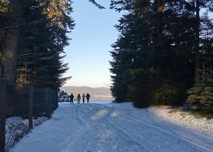 S Terasou A Vyhledem Na Jezero Lipno *